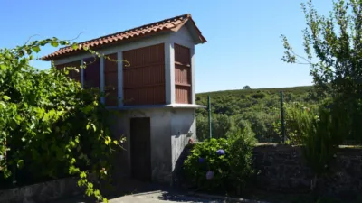 Rustic finca at Calle Alende-Pereira, No. 8 photo 10