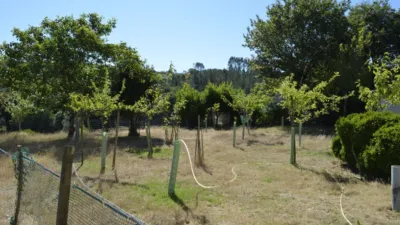 Rustic finca at Calle Alende-Pereira, No. 8 photo 13
