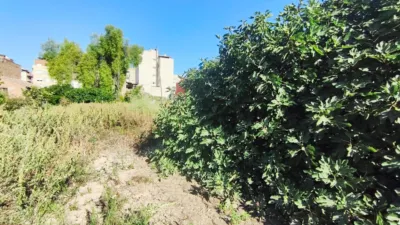 House in Carril Guillamones photo 5