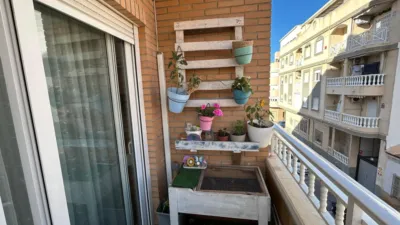 Pis – Torrevieja, El Palmeral - Vista 4