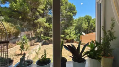 Villa in Sant Agustí photo 12