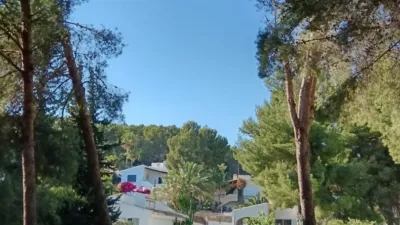 House in Costa de La Calma photo 32