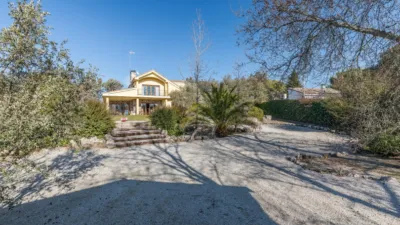 Chalet in Colonia photo 31