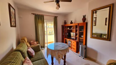Apartment in South Of Spain photo 4
