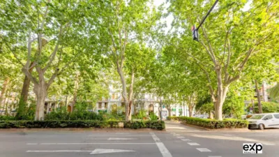 Apartment in Sant Francesc photo 42