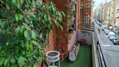 Pis – Alacant / Alicante, les Carolines Baixes, l'Alacantí - Vista 3