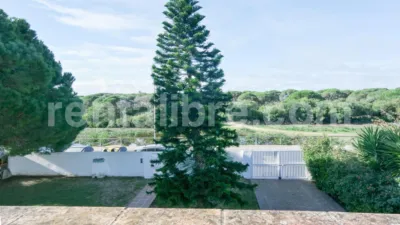 Chalet in Sancti Petri photo 19