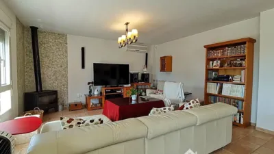 Chalet on Calle Alamillo photo 18