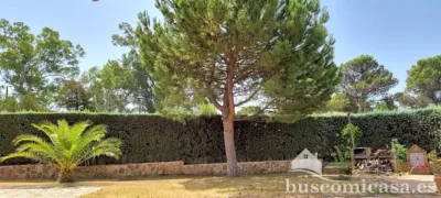 Chalet on Calle Alamillo photo 7