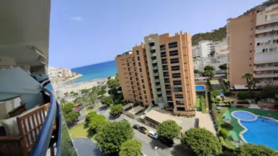Apartment on Xaloc Street photo 27