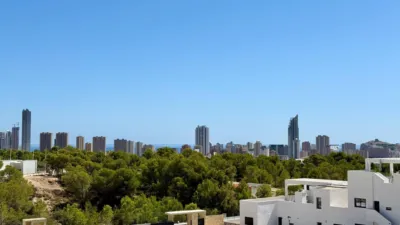 Top-floor apartment on Calle Argentina photo 4