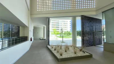 Apartment on Calle Cat Soler photo 23