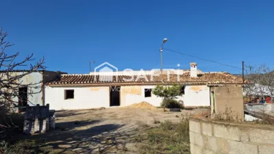 Rustic Finca in Los Andreses photo 17