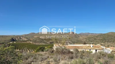 Rustic Finca in Los Andreses photo 24