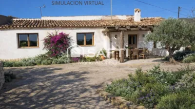 Rustic Finca in Los Andreses photo 3