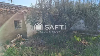 Rustic Finca in Los Andreses photo 4