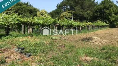 Single-family home in Campo (Queiruga) photo 35