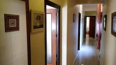 Apartment on Julio Burell Street photo 27
