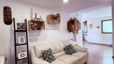 Chalet in Sant Feliu de Rexac photo 11