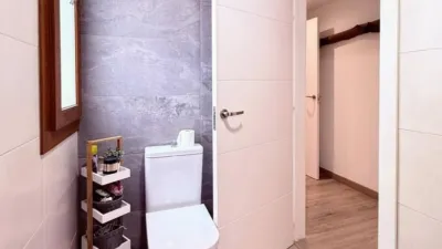 Chalet in Sant Feliu de Rexac photo 16