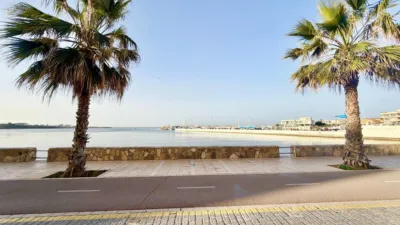 Apartment in El Coll D´En Rabassa photo 4