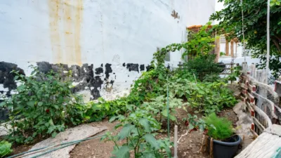 Casa en venta en Calle del Pino del Aire, 22, cerca de Calle San Martin, Chío (Guía de Isora) de 350.000 €
