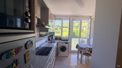Apartment in the Santa Ana Neighborhood of San Miguel photo 15