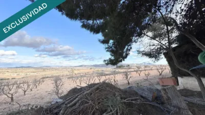 Casa – El Pinós - Pinoso - Vista 4