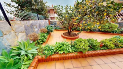 House on Carrer de l'Acàcia photo 58