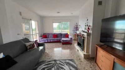 House in Centro photo 26