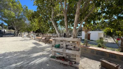 Rustic farm on Partida L'atzubia Street photo 55