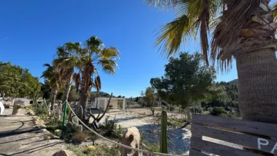 Rustic farm on Partida L'atzubia Street photo 64