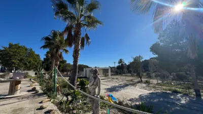 Rustic farm on Partida L'atzubia Street photo 65