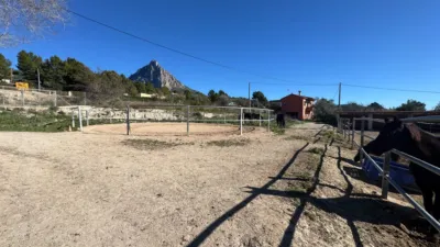 Rustic farm on Partida L'atzubia Street photo 77