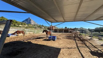 Rustic farm on Partida L'atzubia Street photo 81