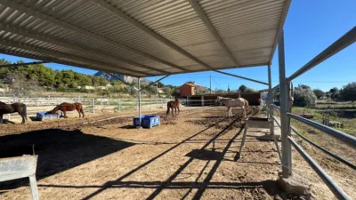 Rustic farm on Partida L'atzubia Street photo 82