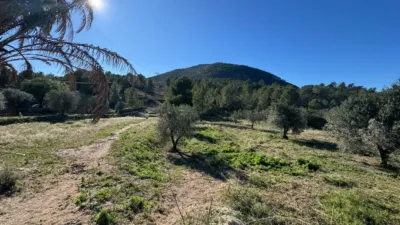 Rustic farm on Partida L'atzubia Street photo 94