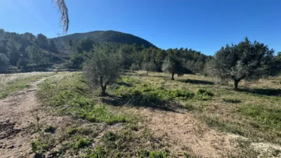 Rustic farm on Partida L'atzubia Street photo 95