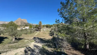 Rustic farm on Partida L'atzubia Street photo 98