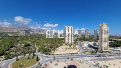 Apartment on Calle del Alcalde Don Vicente Pérez Devesa photo 12