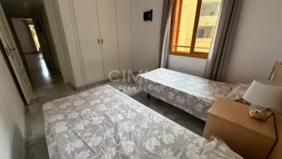Apartment in Mascarat photo 9