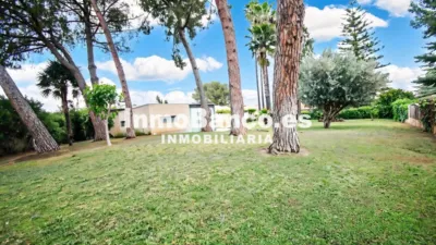 Chalet in Calicanto photo 10