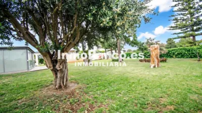 Chalet in Calicanto photo 83