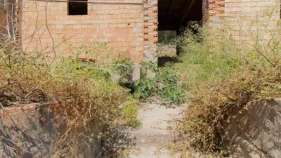  photo 48