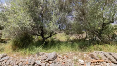  photo 52