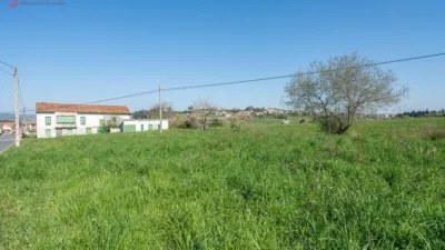 House in Rinconeda photo 4