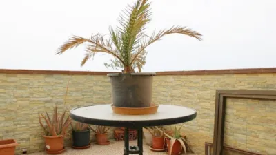 Duplex in Santo Domingo photo 2