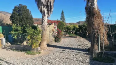 Finca rústica en Dalias photo 5