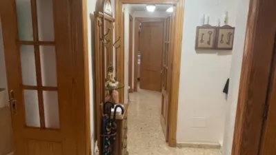 Apartment in El Ejido Center photo 10