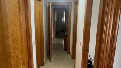 Apartment in El Ejido Center photo 11